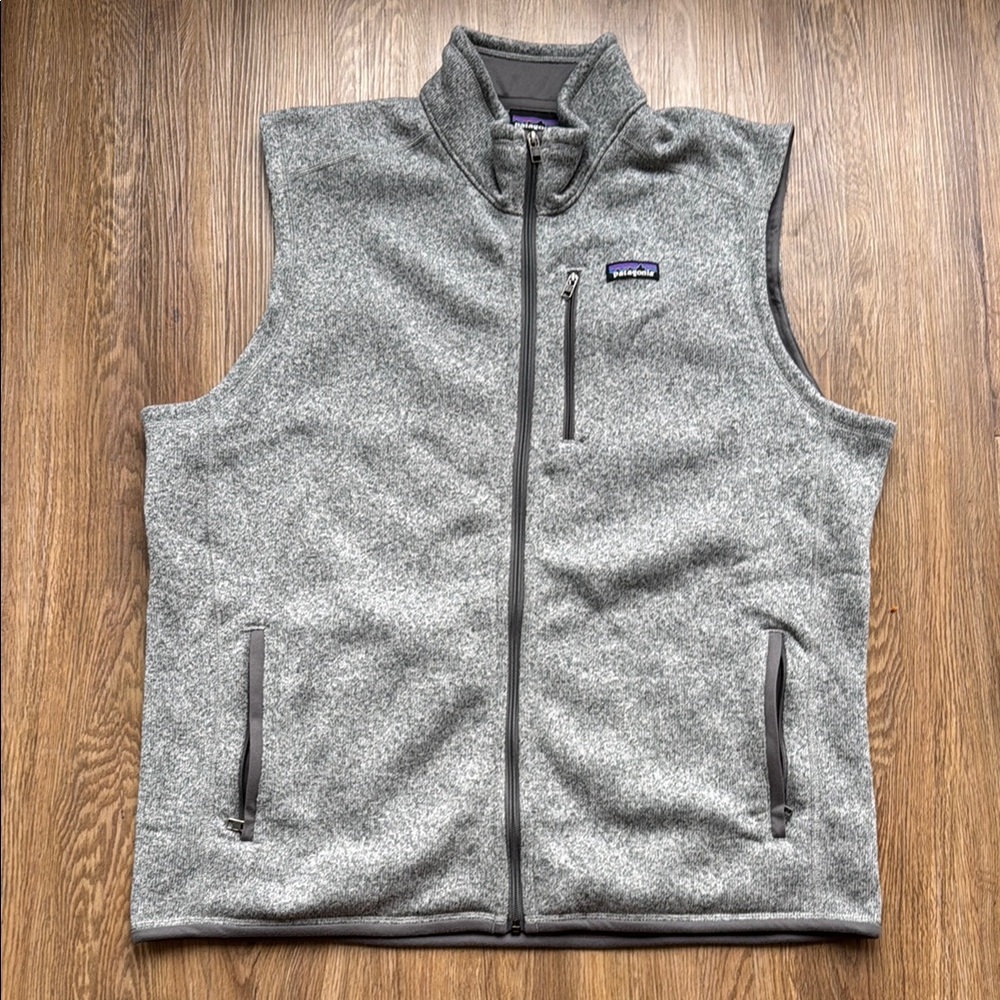 Patagonia Men's Gray Fleece Vest